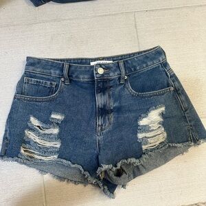 Pacsun High Rise Festival Shorts